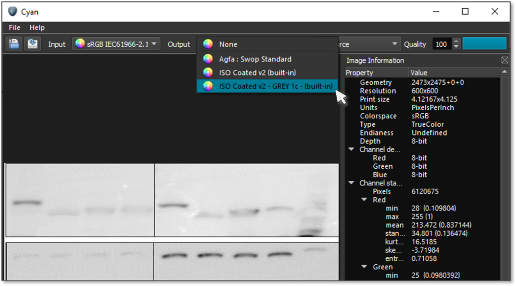 exporting to greyscale in Cyan image converter