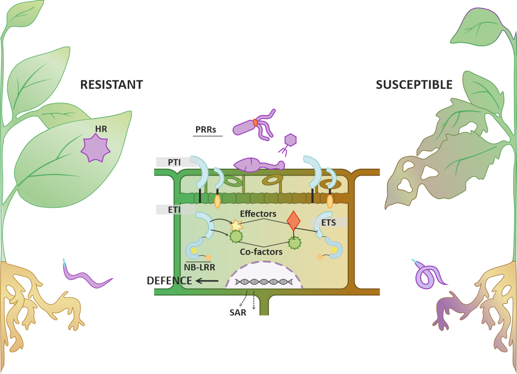 figures and illustrations for scientific publications