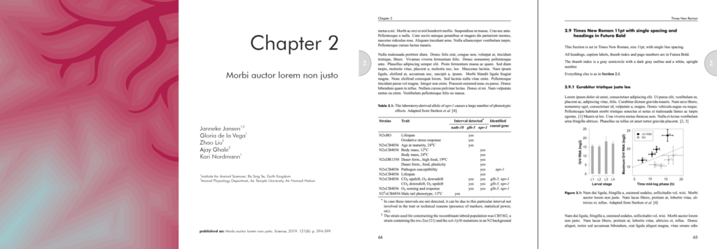 cheap PhD thesis layout Netherlands