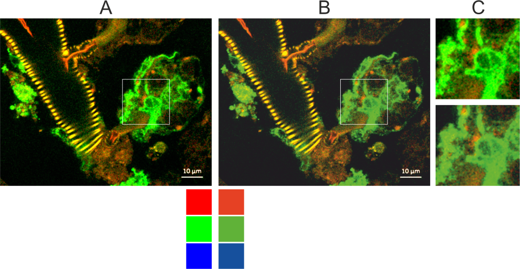 Figures for a paper - RGB can produce brighter colours than CMYK.