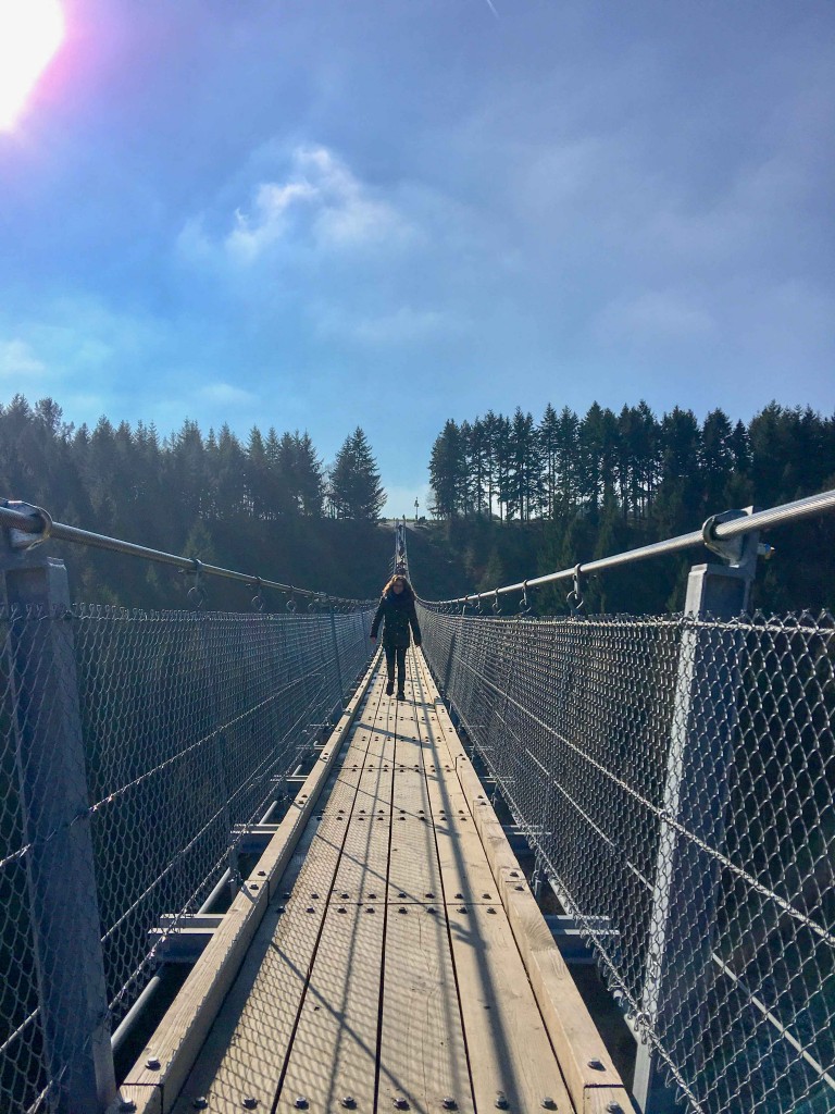 Geierlay voetgangershangbrug Duitsland