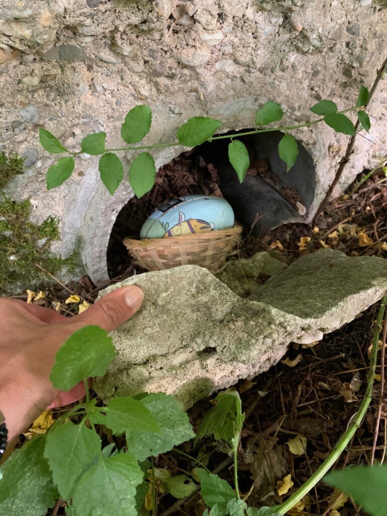 Geocaches rond je vakantiehuis op het kasteel In de omgeving van je vakantiehuis op het kasteel liggen meerdere caches verstopt. In Treuchtlingen bv bij de Romeinse ruine ‘Villa Rustica, het Kurpark en de oude locomotief of langs de wandelroute op de Nagelberg. In Möhren heb ik een geocache verstopt met uitzicht over het dorp en ons kasteel. Mocht je nieuwsgierig zijn, mijn verborgen schat heet ‘Brandwunde’ en je vindt hem op GC8YAG0. www.geocaching.nl (lidmaatschap vereist) . Geocaches rond je vakantiehuis op het kasteel In de omgeving van je vakantiehuis op het kasteel liggen meerdere caches verstopt. In Treuchtlingen bv bij de Romeinse ruine 'Villa Rustica, het Kurpark en de oude locomotief of langs de wandelroute op de Nagelberg. In Möhren heb ik een geocache verstopt met uitzicht over het dorp en ons kasteel. Mocht je nieuwsgierig zijn, mijn verborgen schat heet ‘Brandwunde’ en je vindt hem op GC8YAG0. www.geocaching.nl (lidmaatschap vereist) .