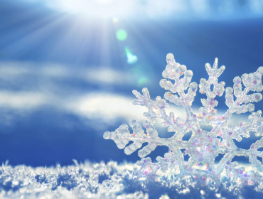 Herzlich Willkommen bei SchneeGrün – Ihrem Dienstleister Winterdienst