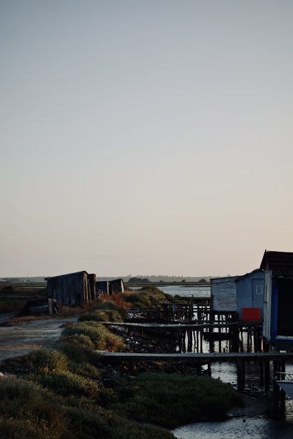 Fischereihafen im sonnenuntergang