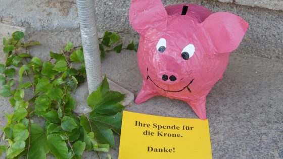 Das Spendenschwein der Bürgerinitiative Krone Schweina e.V.