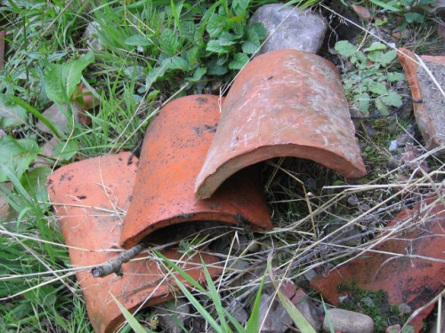 Ridge tiles Tochieneal tileworks (640x480)