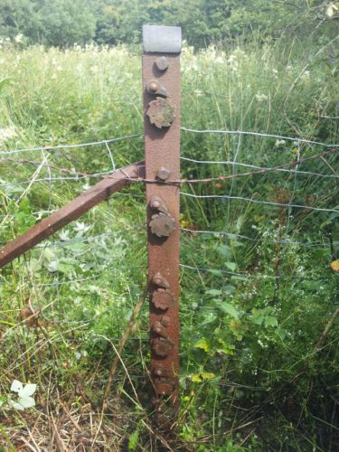 M Bain & Co Coatbridge - iron fence post at Bonshaw