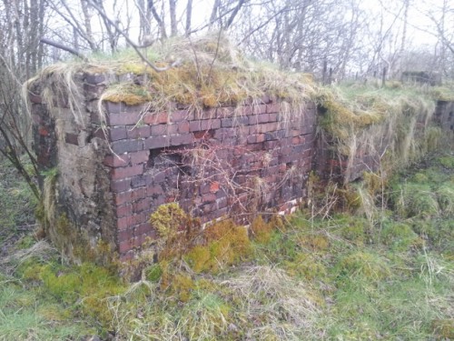 Cleghorn Brickworks, Cleghorn