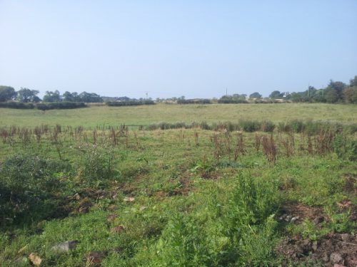 Whitrighill Bog Brick and Tile Works, Near Mertoun, St. Boswells, Scottish Borders