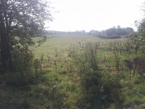 Whitrighill Bog Brick and Tile Works, Near Mertoun, St. Boswells, Scottish Borders