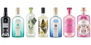 Lidl’s in with Scottish gin