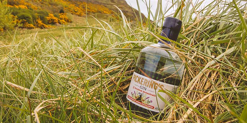 Pickering's Scottish Botanicals Gin
