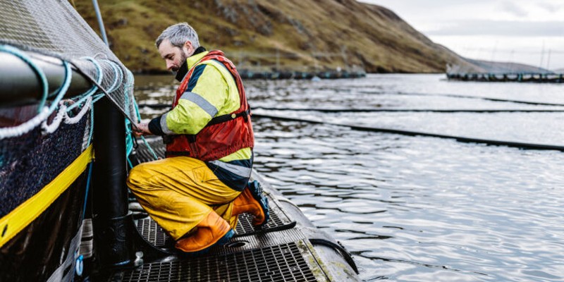 You are currently viewing Scottish Sea Farms wins sustainability award