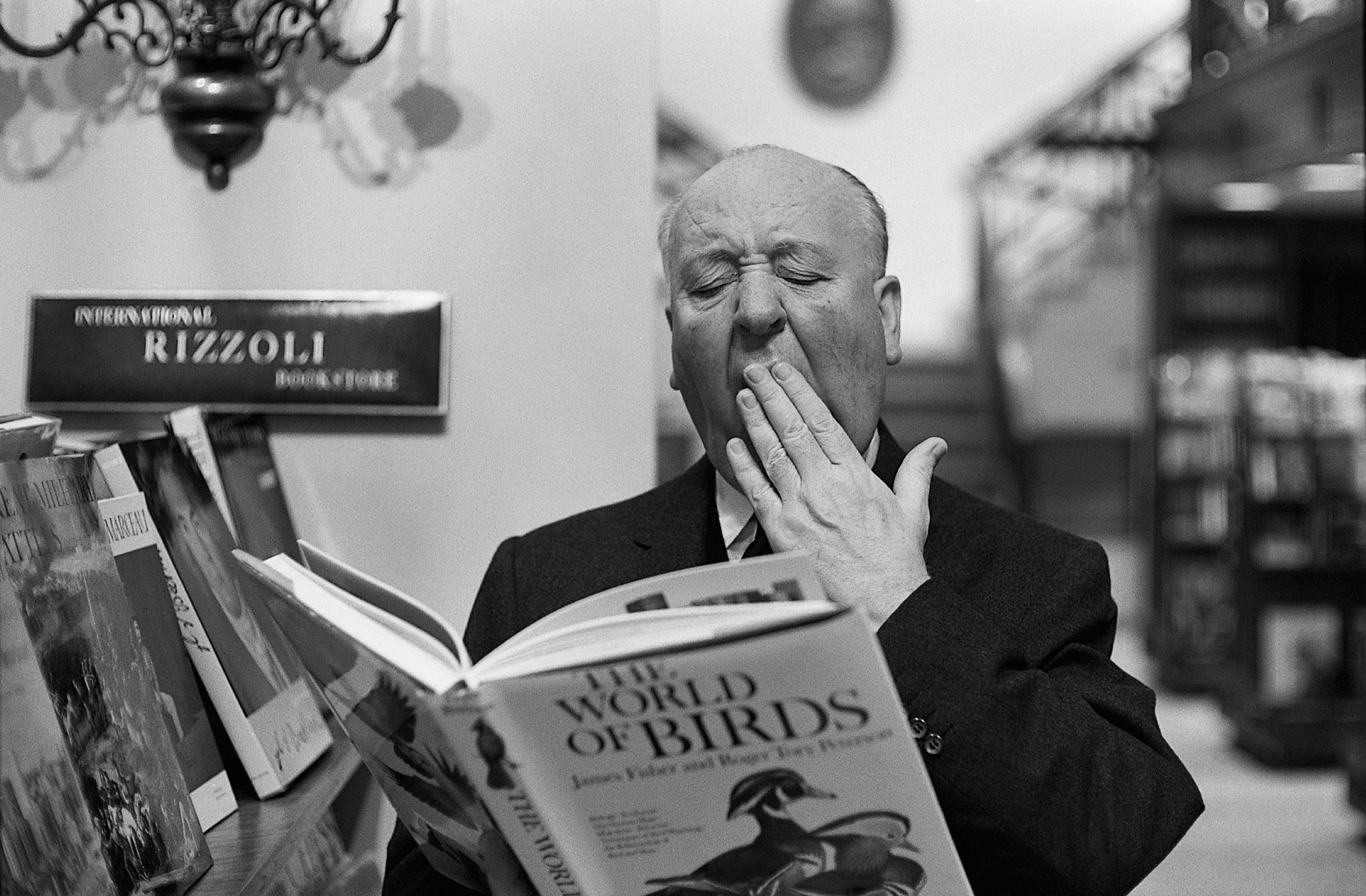 Portrait Alfred Hitchcock : Le Maître du suspense - ScreenTune