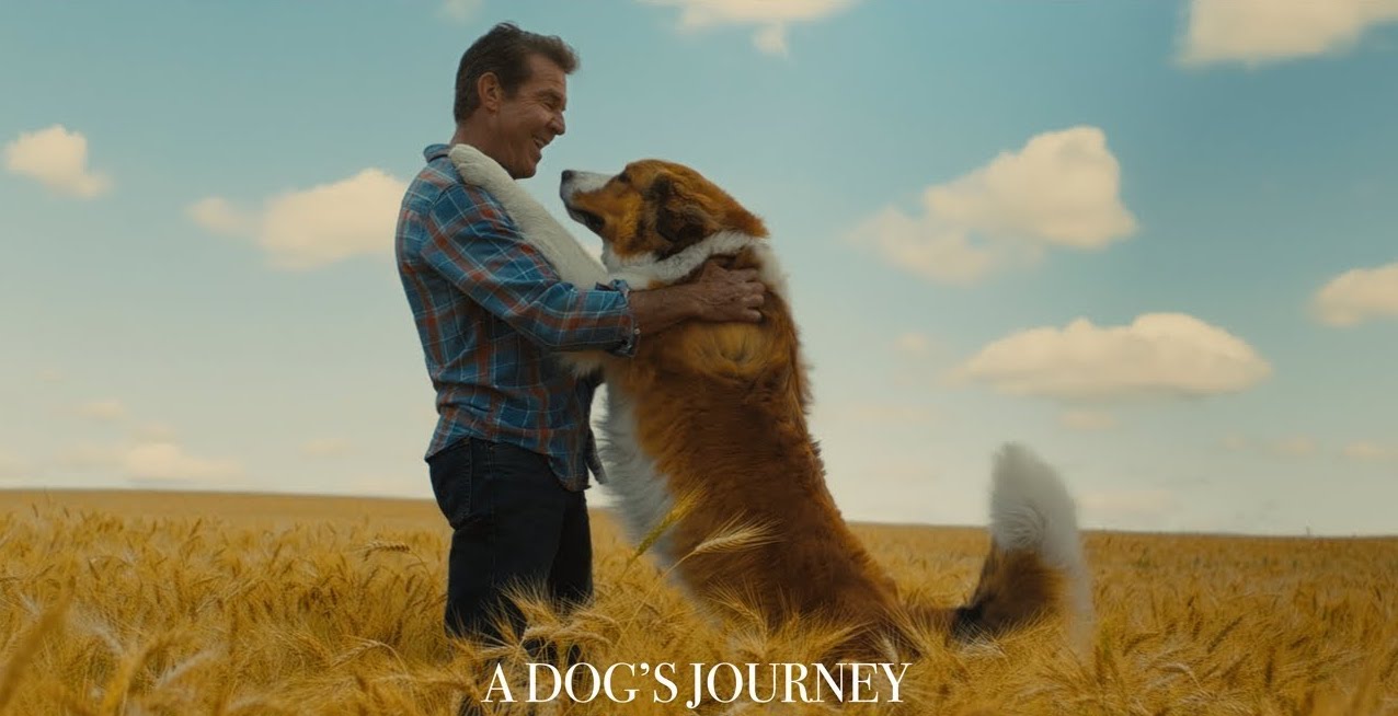 Mes Autres Vies De Chiens Streaming Critique « Mes autres vies de chien » (2019) - SCREENTUNE