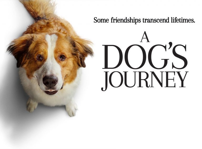 Mes Autre Vies De Chien Critique « Mes autres vies de chien » (2019) - SCREENTUNE