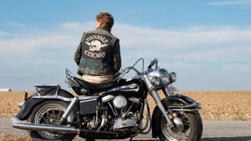 Critique « The Bikeriders » (2024) : Peur de personne en Harley Davidson ! - ScreenTune