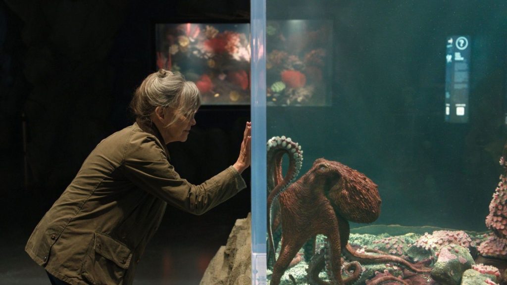Critique « De si remarquables créatures » (2026) : Là où vit l’espérance ! - ScreenTune