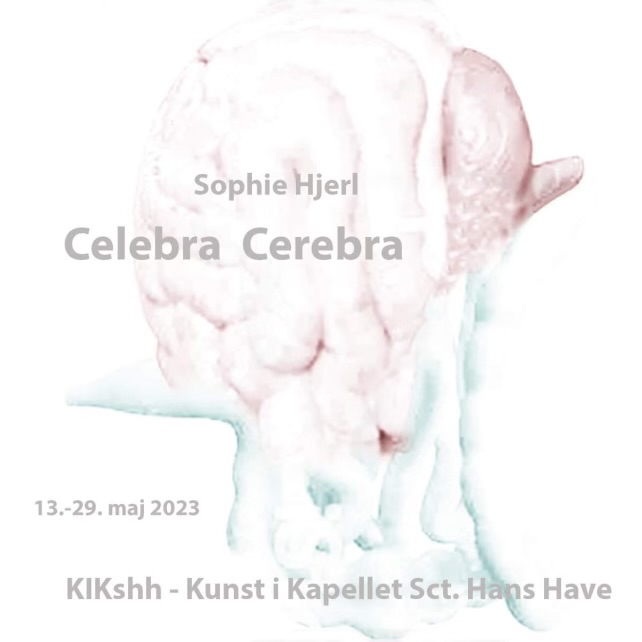 Celebra Cerebra - soloudstilling af Sophie Hjerl