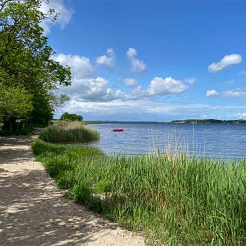 Fælleden