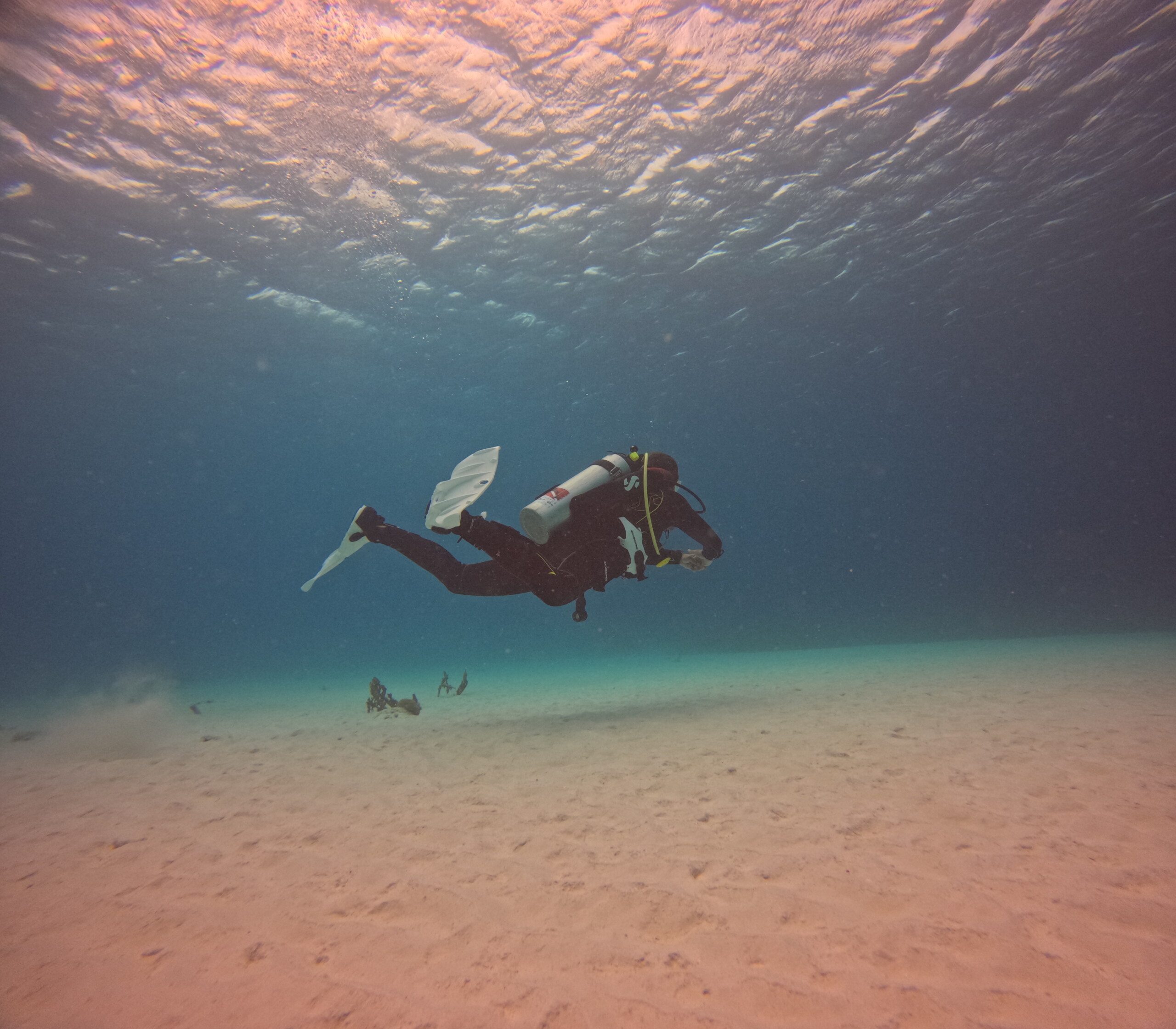 Our Courses Scuba Do Bonaire