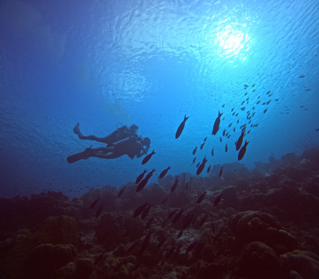 Discover Scuba Diving (Intro. dive) Scuba Do Bonaire