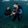 Specialty Of The Month Mei 2024: Night Diving & Limited Visibility