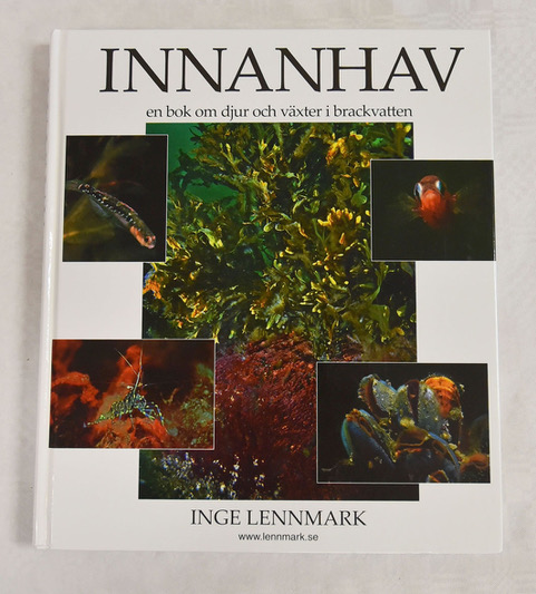 Innanhav