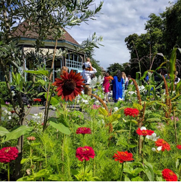 Pot Painting, Planting and Pond Dipping