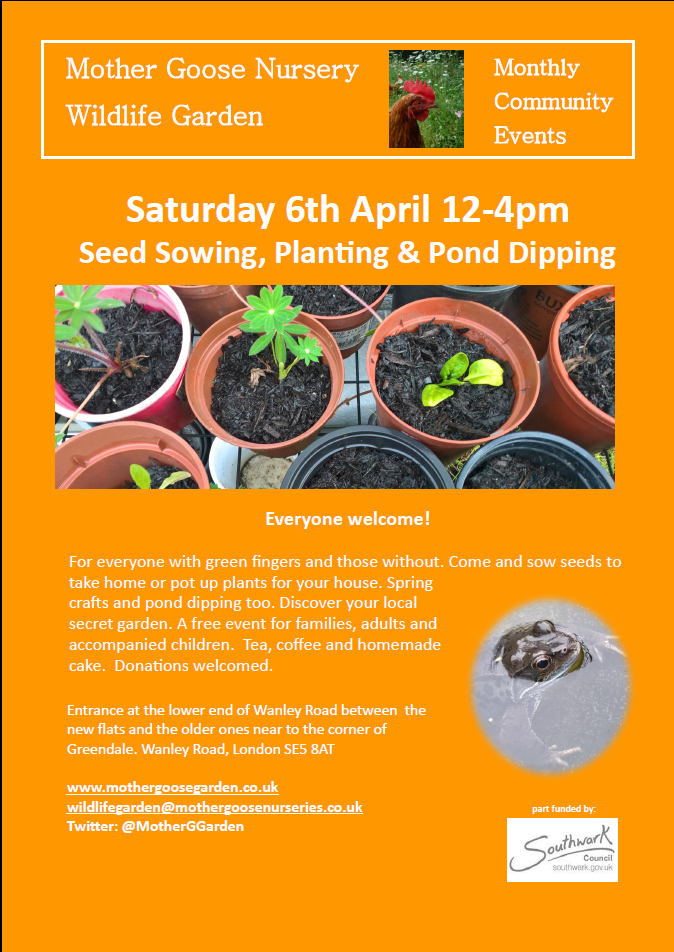 Pot Painting, Planting and Pond Dipping