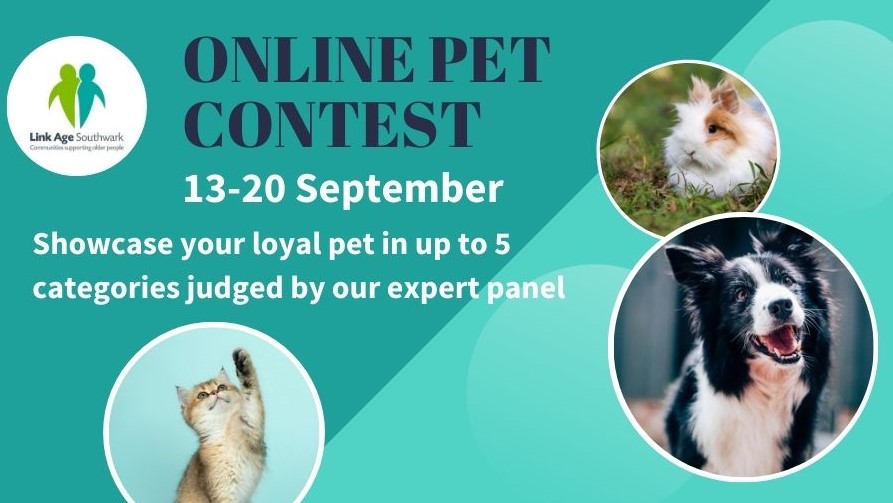 Online Pet Contest