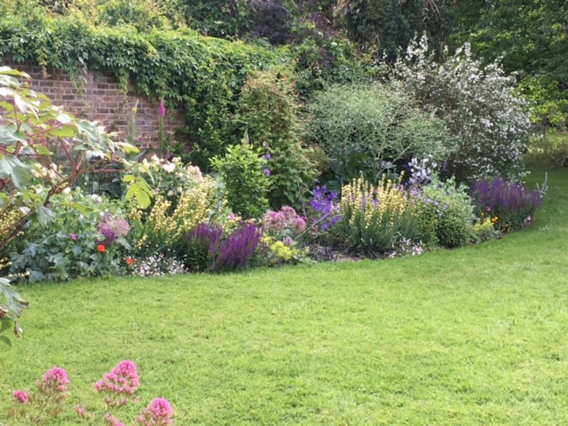 Open Gardens in aid of Link Age Southwark