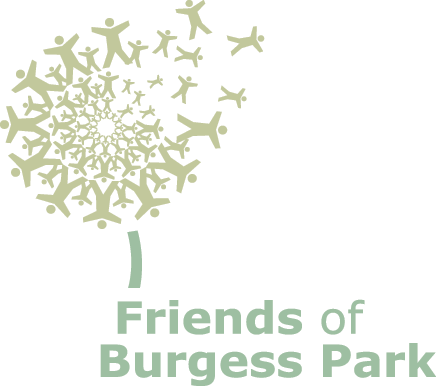 Friends of Burgess Park logo with a dandelion made up of  people.