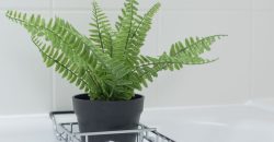 Lush 2 Bed Home I Free Parking I Near Chatham Dock