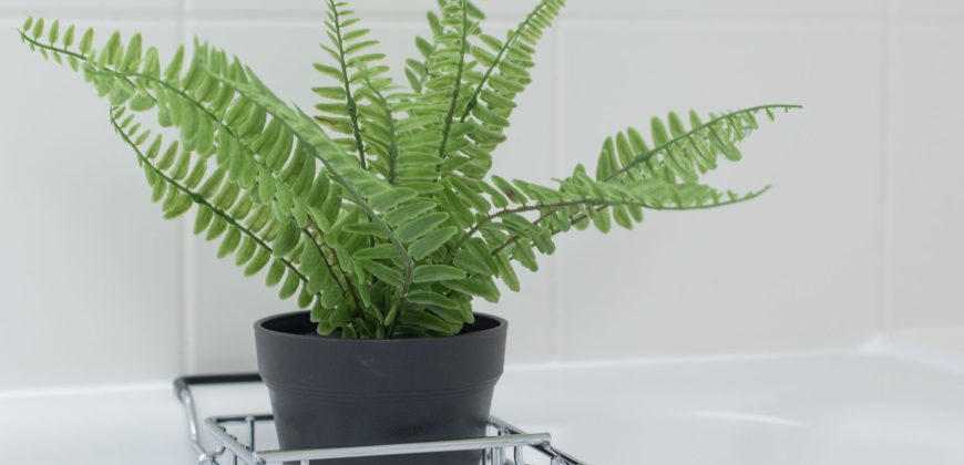 Lush 2 Bed Home I Free Parking I Near Chatham Dock