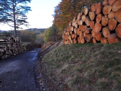 SW Mtn Bike Ride Ladybower and Derwent Water Reservoirs 28-10-2018 (15)