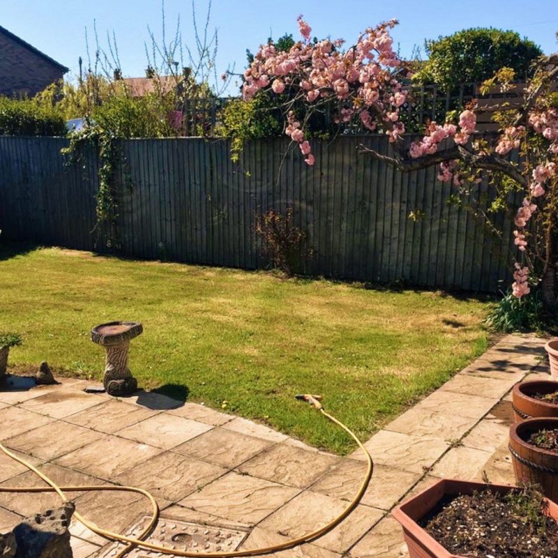 Enclosed, private garden behind Kelvinside cottage in Northumberland