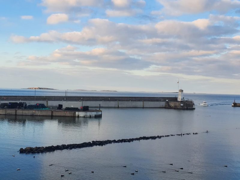 Seahouses harbour in Northumberland