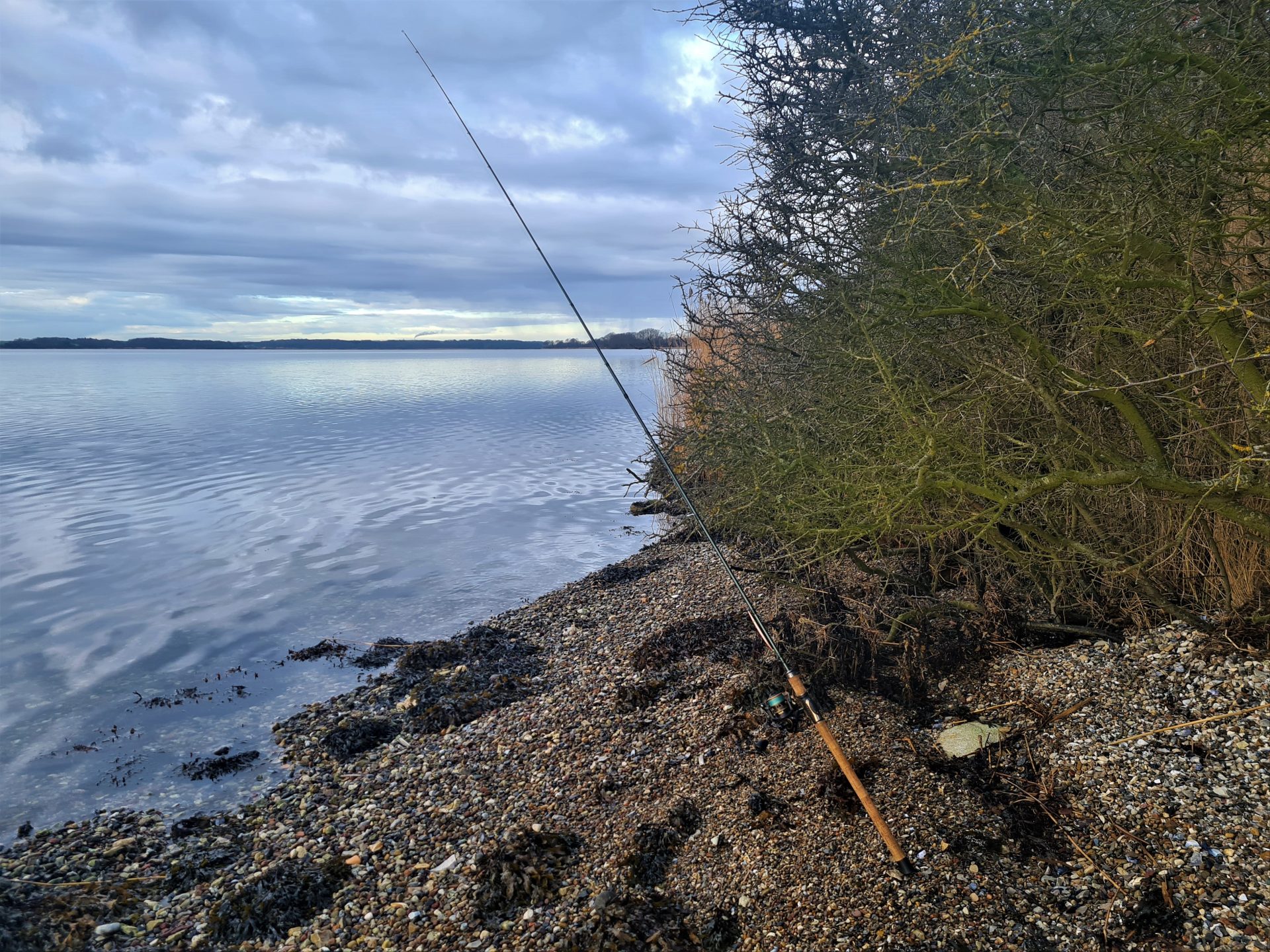 Guidede fisketure ved Genner Bugt