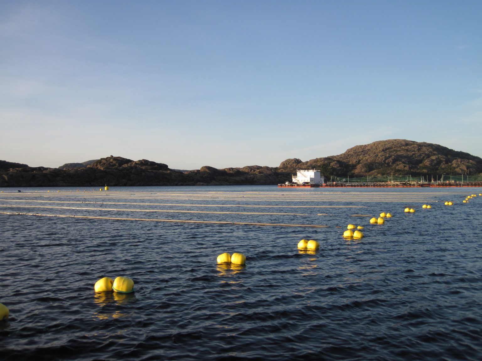 Seaweed farm on Solund, Norway