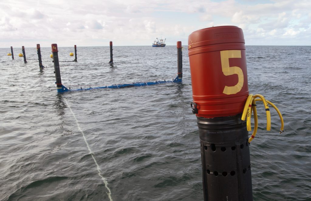 Seaweed- technology offshore installation with Seawiser's buoy
