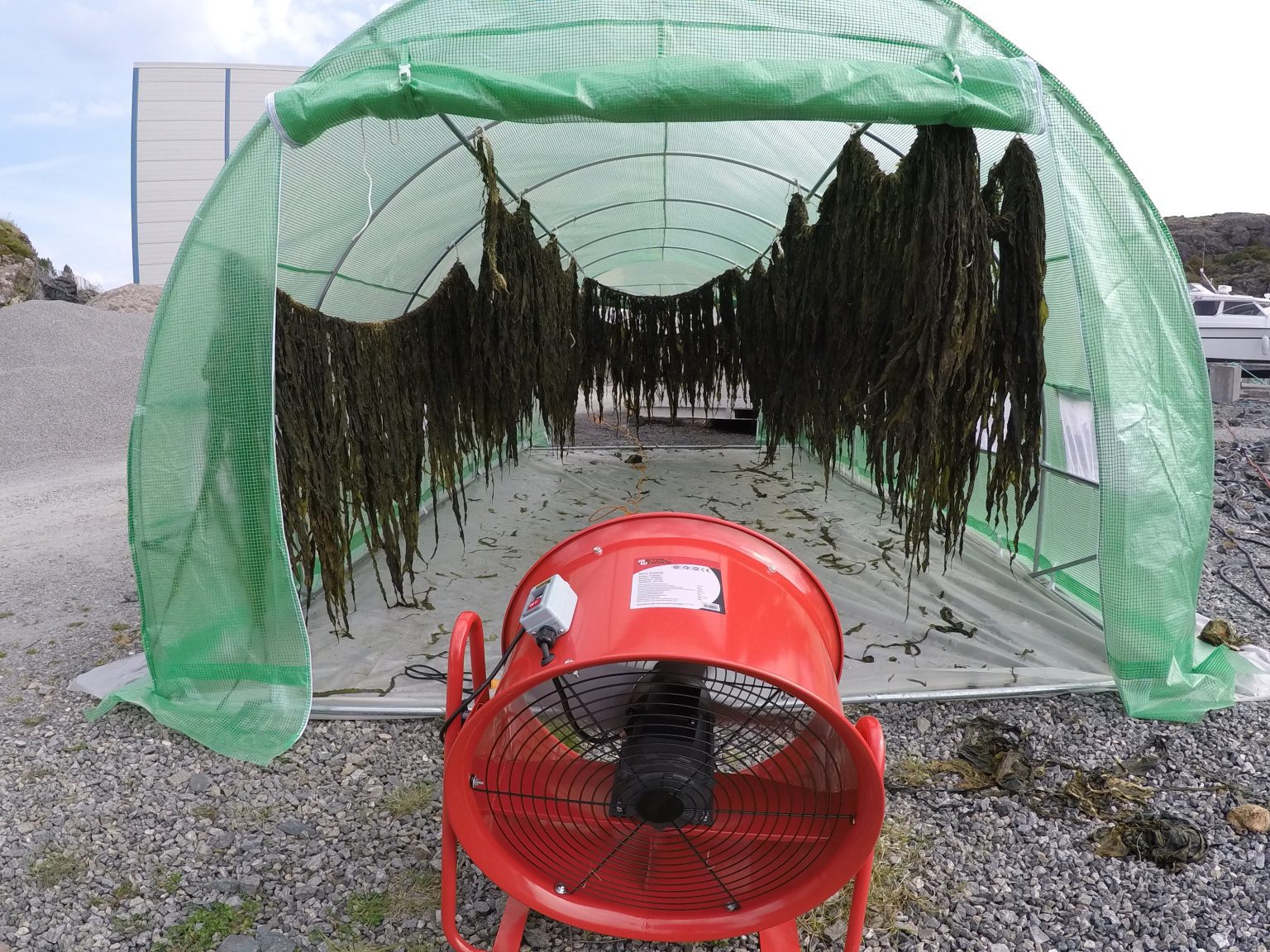 Seaweed propagation drying storage tent