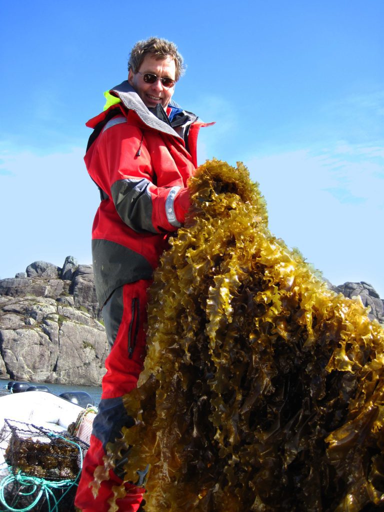Job Schipper, Seawiser's seaweed entrepreneur holding cultivated seaweed at Solund, Norway.