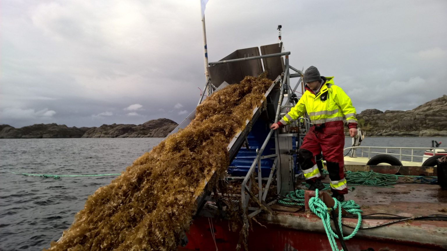 seaweed farm harvesting with technology in Norway