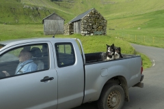 Faroe-11