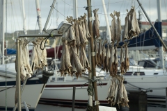 Faroe-17