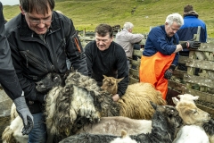 Faroe-21