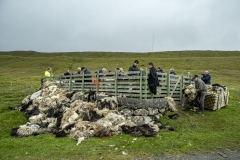 Faroe-23
