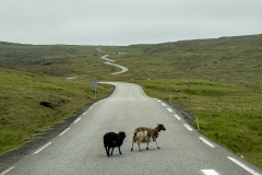 Faroe-29