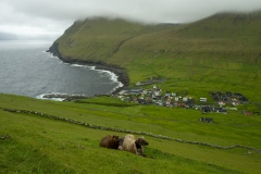 Faroe-3